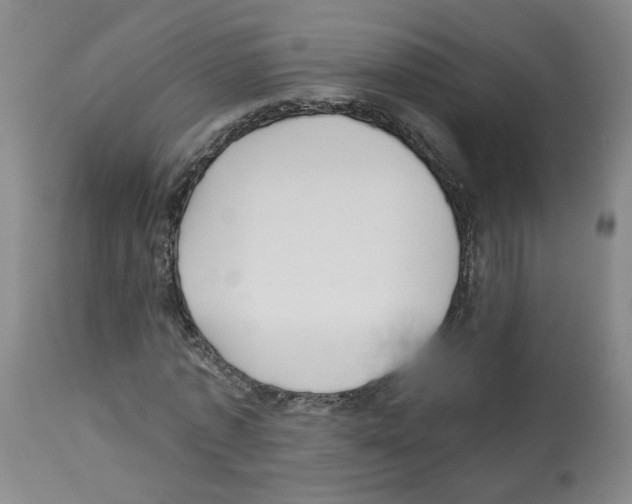 X0000112940773200910051155