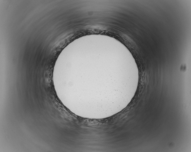 X0000112940774200910051155