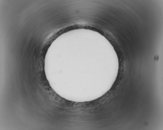 X0000112940776200910051155
