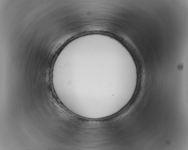 X0000112940777200910051155