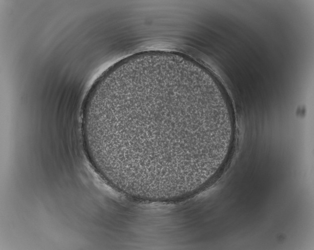 X0000112940779200910051155