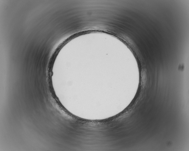 X0000112940780200910051155