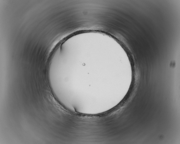 X0000112940781200910051155