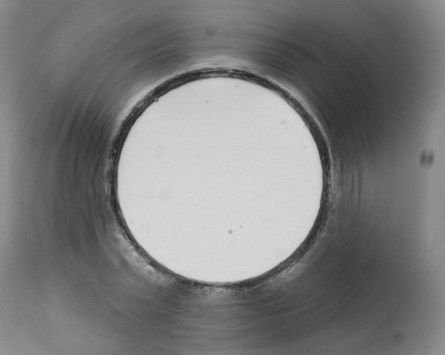X0000112940783200910051155