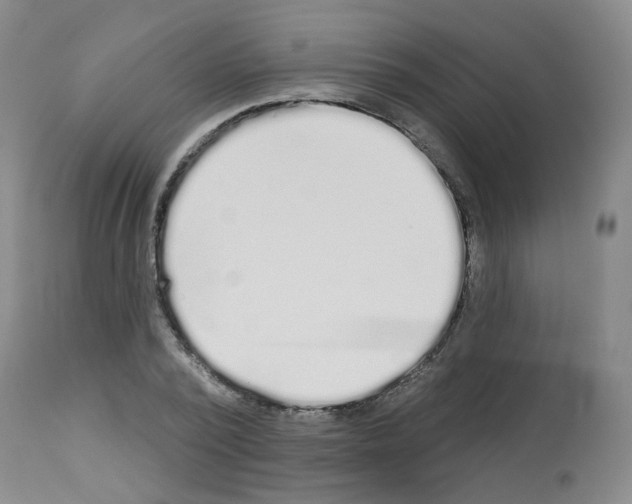 X0000112940784200910051155