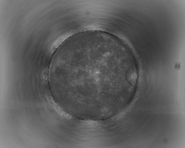 X0000112940785200910051154