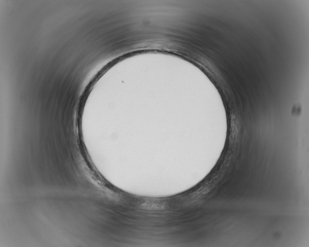 X0000112940788200910051154