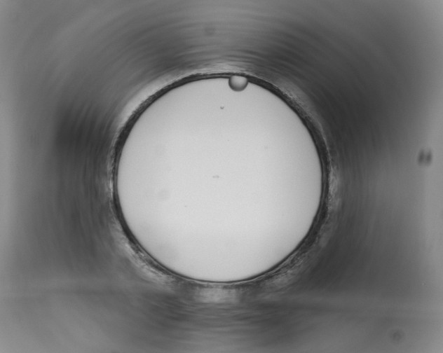 X0000112940789200910051154