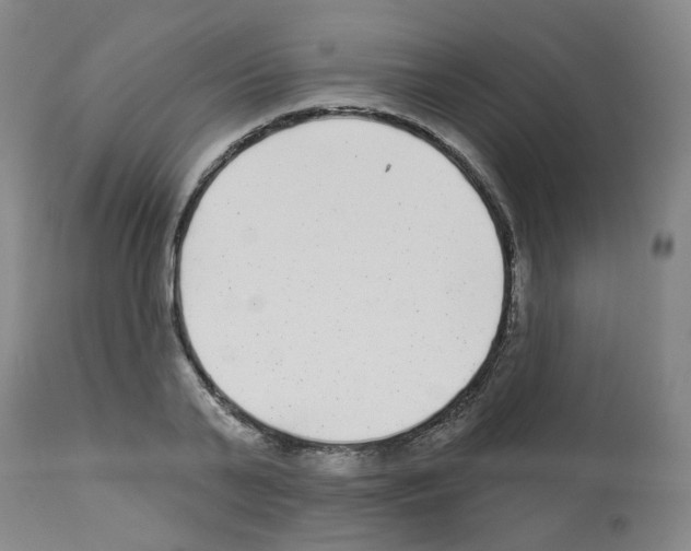 X0000112940791200910051154