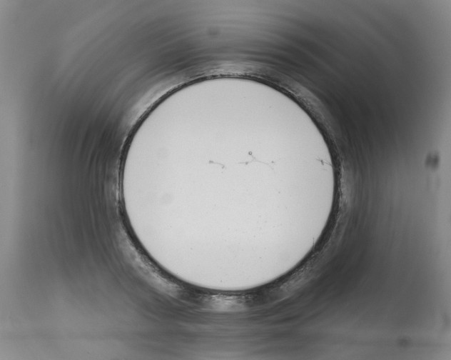 X0000112940794200910051154
