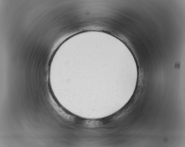 X0000112940795200910051154