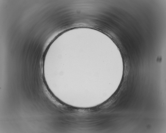 X0000112940796200910051154