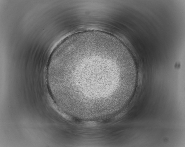 X0000112940798200910051154