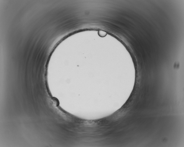 X0000112940799200910051154