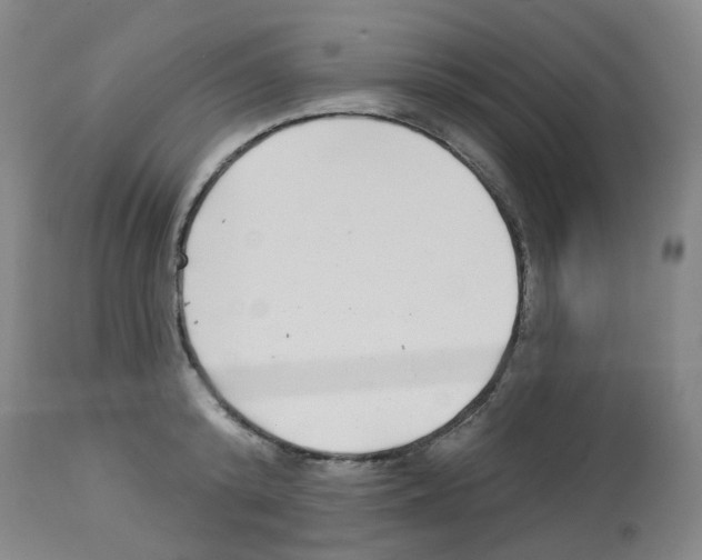 X0000112940800200910051154