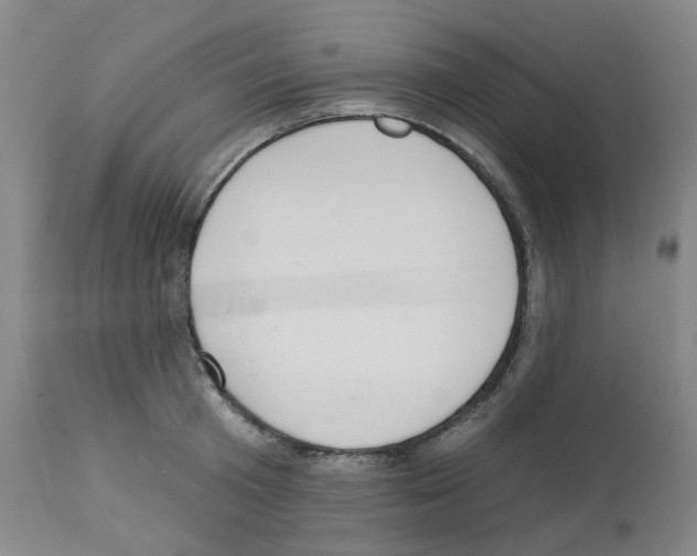 X0000112940801200910051154
