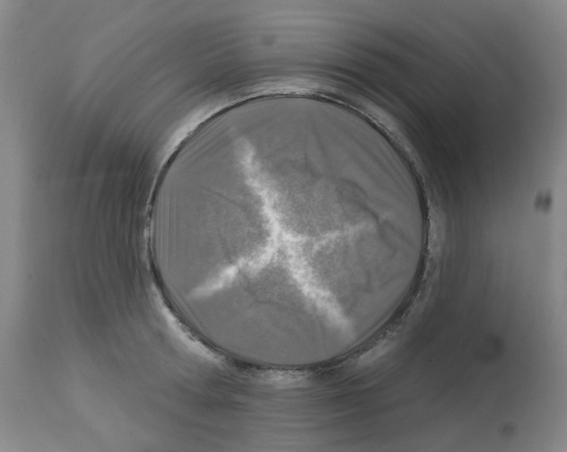X0000112940802200910051154