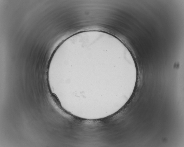 X0000112940805200910051154