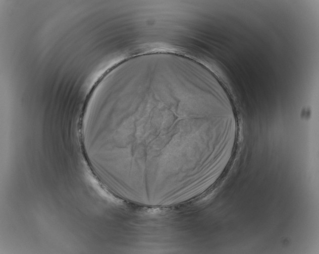 X0000112940806200910051154