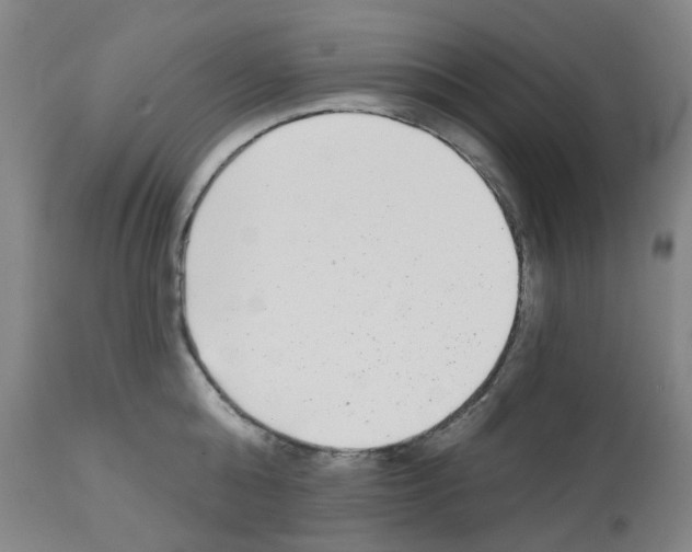 X0000112940808200910051154