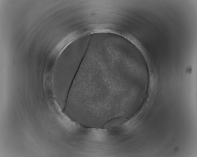 X0000112940809200910051154