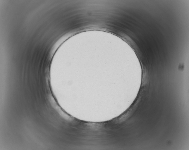 X0000112940812200910051154