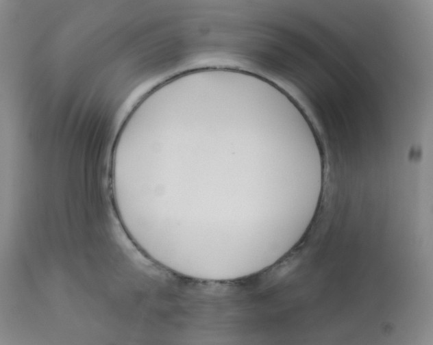 X0000112940815200910051154