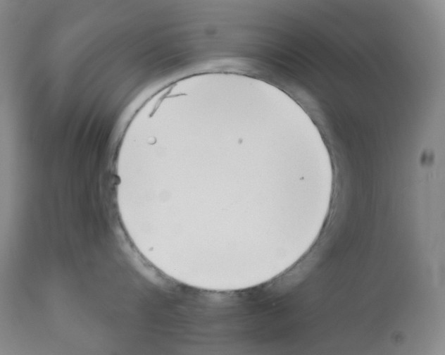 X0000112940816200910051154