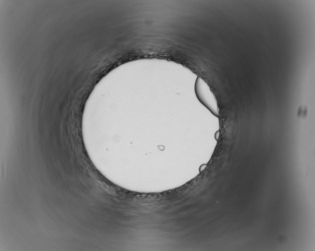 X0000112940817200910051153