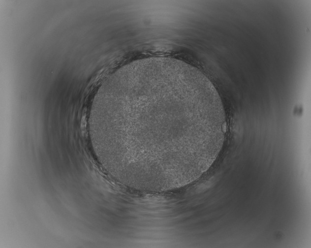 X0000112940818200910051153