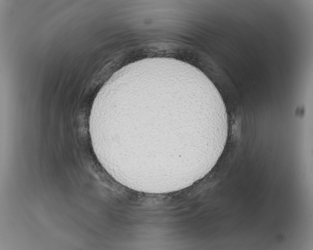 X0000112940819200910051153