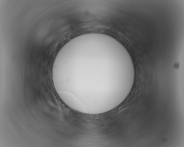 X0000112940820200910051153