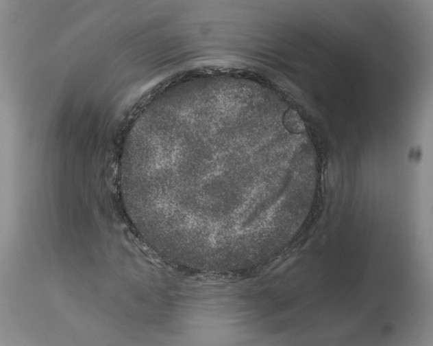 X0000112940822200910051153