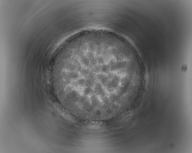 X0000112940823200910051153