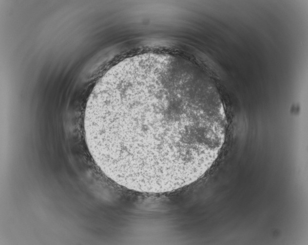 X0000112940824200910051153