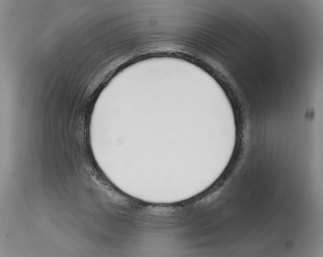 X0000112940825200910051153