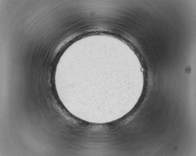 X0000112940826200910051153