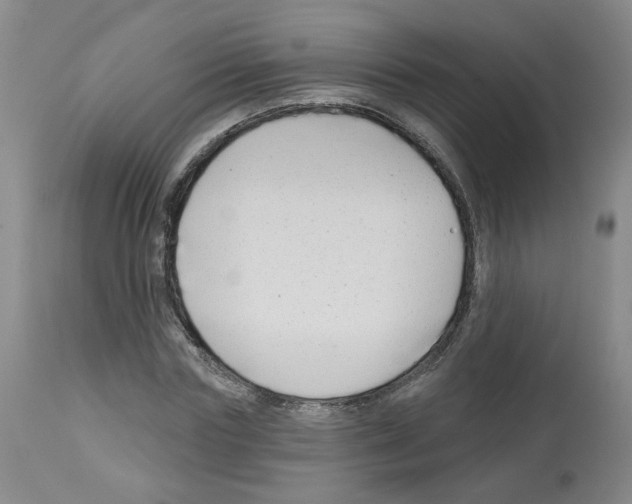 X0000112940827200910051153