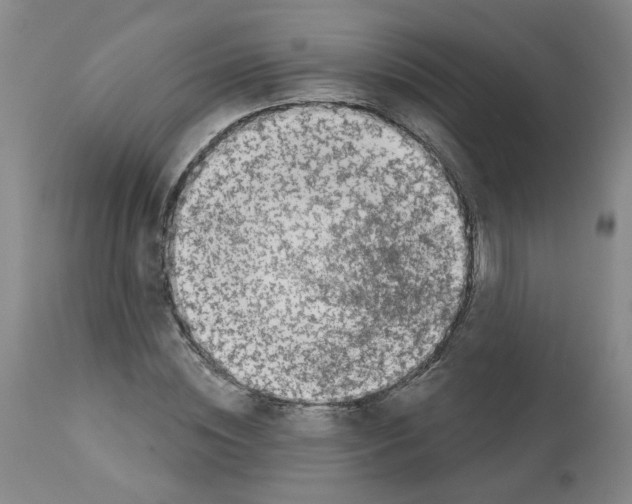 X0000112940828200910051153