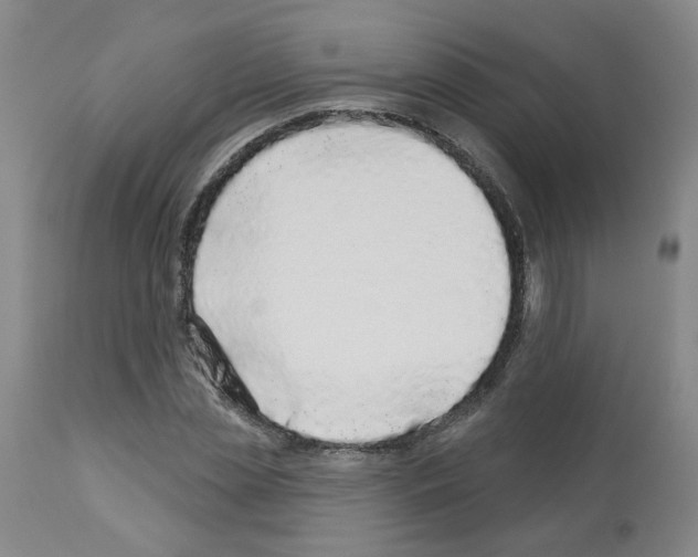X0000112940829200910051153