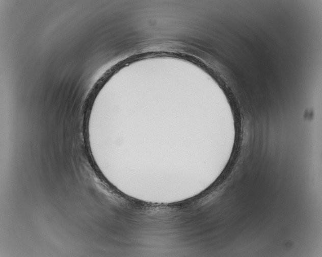 X0000112940830200910051153