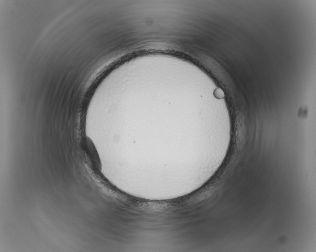 X0000112940831200910051153