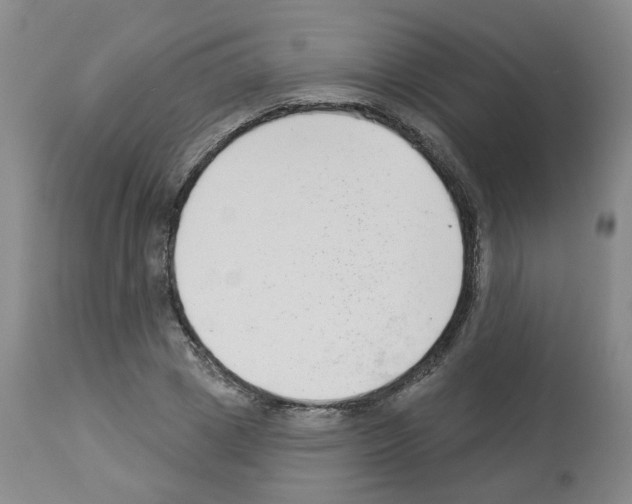 X0000112940833200910051153