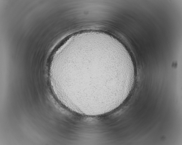 X0000112940835200910051153