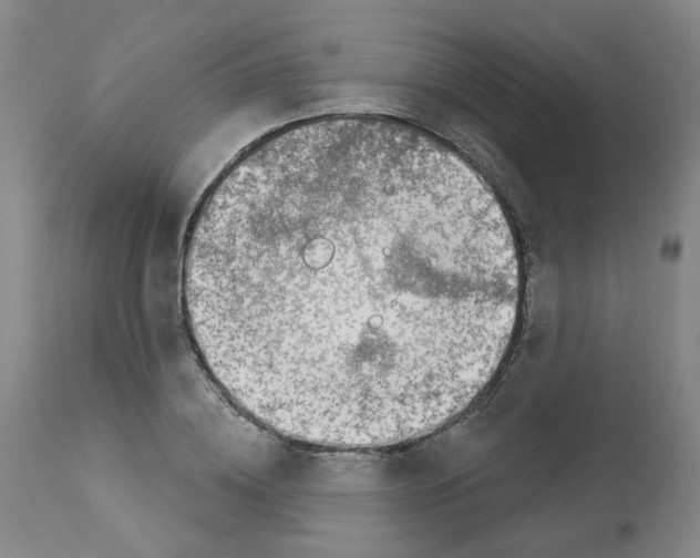 X0000112940836200910051153