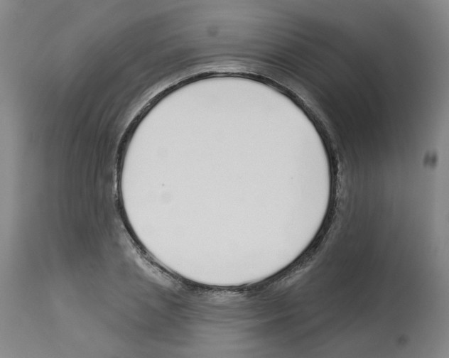 X0000112940837200910051153