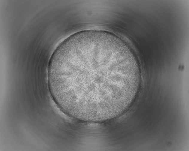X0000112940839200910051153