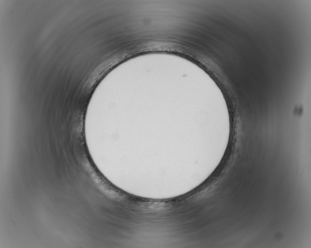 X0000112940841200910051153