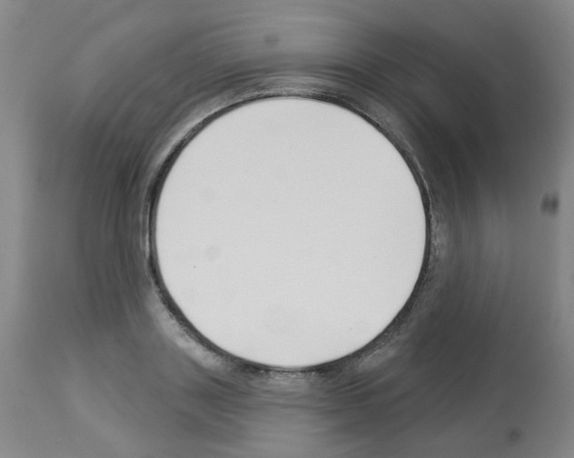 X0000112940843200910051153
