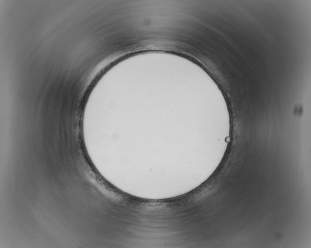 X0000112940846200910051153